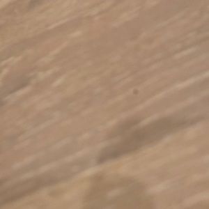 Meet your Posher, Yekaterina